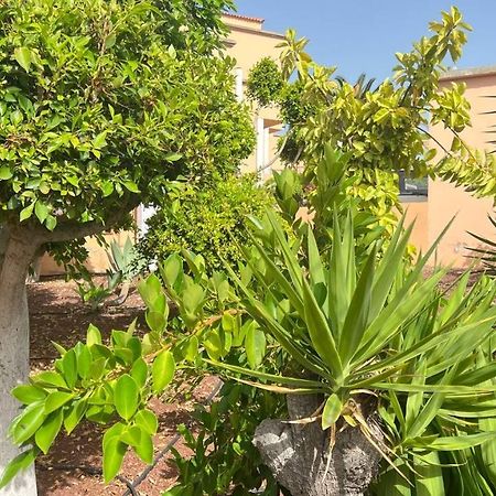 אדחה Ocean View Apartment In Orlando מראה חיצוני תמונה