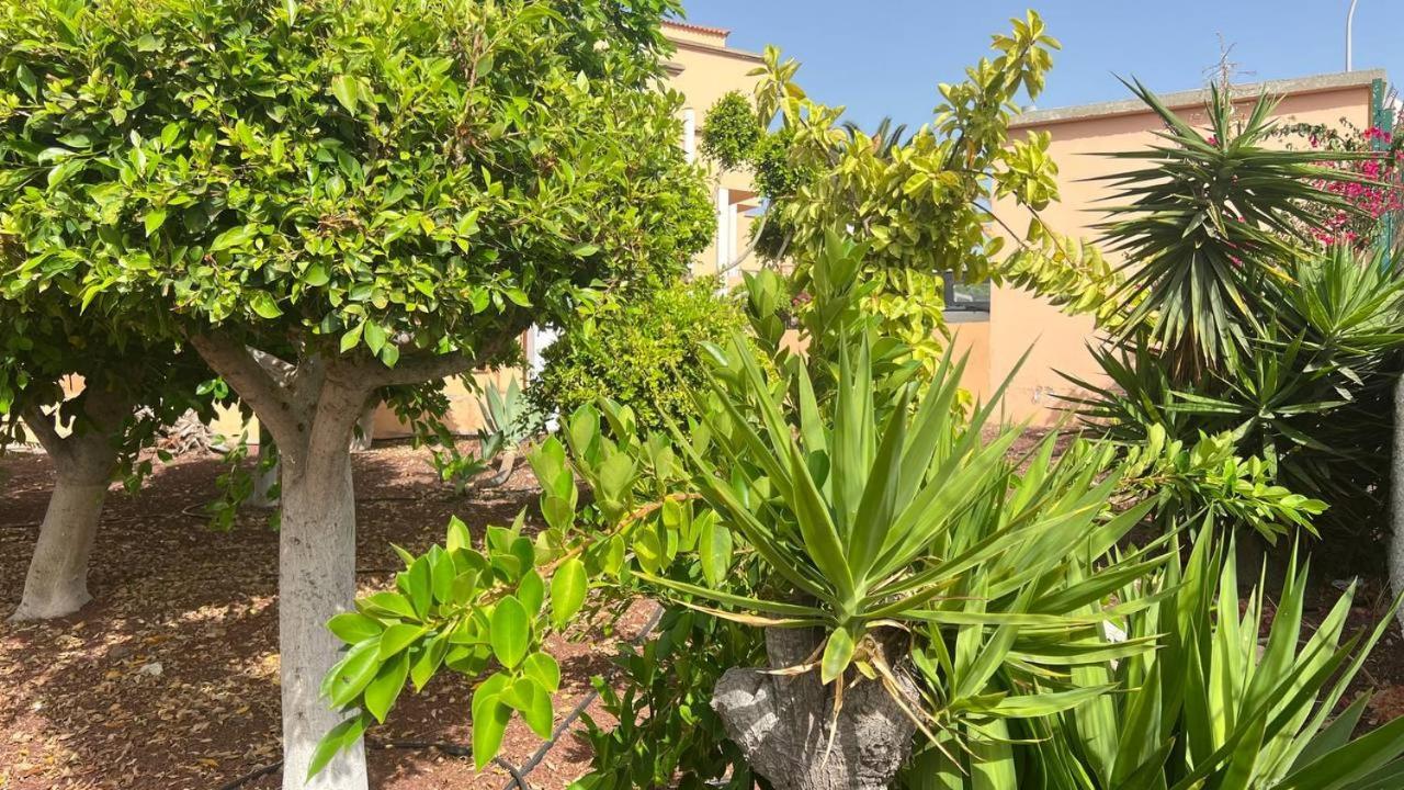 אדחה Ocean View Apartment In Orlando מראה חיצוני תמונה