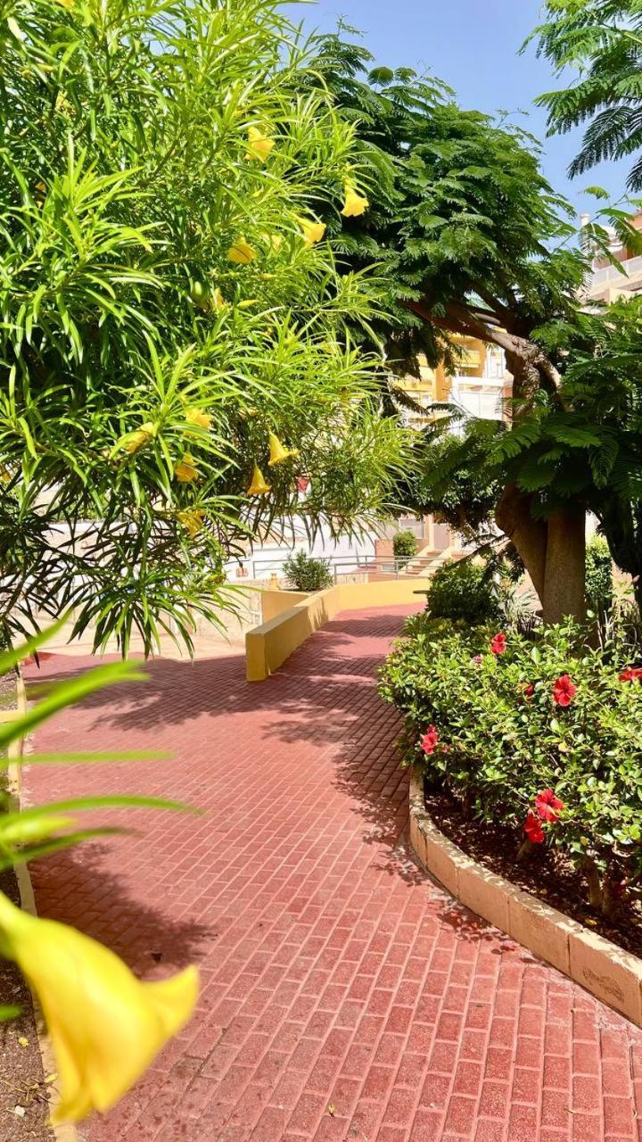 אדחה Ocean View Apartment In Orlando מראה חיצוני תמונה
